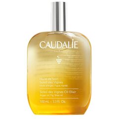 Toitev kehaõli Caudalie Soleil des Vignes, 100 ml hind ja info | Kehakreemid, kehaspreid | kaup24.ee