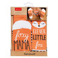 Sokkide komplekt Foxy mama / Clever little fox цена и информация | Lõbusad sokid | kaup24.ee