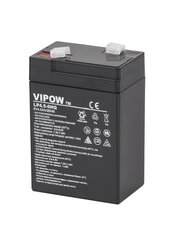 Свинцовый аккумулятор VIPOW 6В 4Ач цена и информация | Аккумуляторы | kaup24.ee