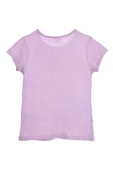 Футболка для девочек Frozen, серый цена и информация | Рубашки для девочек | kaup24.ee