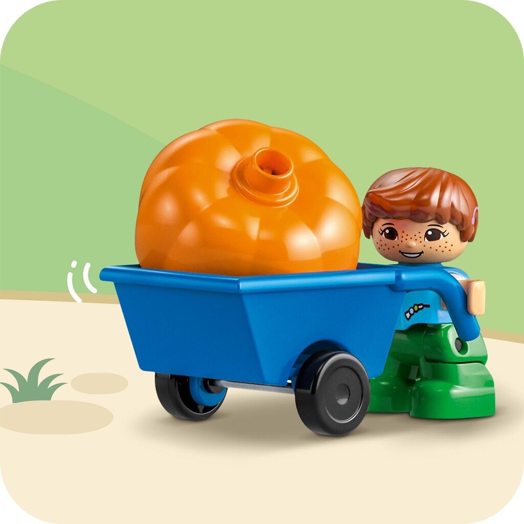 10993 LEGO® DUPLO 3 ühes Puumaja hind ja info | Klotsid ja konstruktorid | kaup24.ee