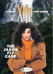 XIII 6 - The Jason Fly Case, v. 6, Jason Fly Case цена и информация | Фантастика, фэнтези | kaup24.ee