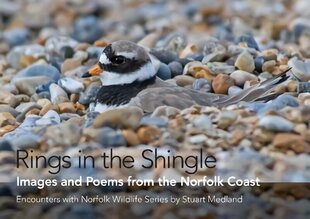 Rings in the Shingle: Images and Poems from the Norfolk Coast First hind ja info | Luule | kaup24.ee