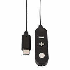 USB C-Jack 3.5 mm Adapter V7 CAUSB-C цена и информация | Адаптеры и USB-hub | kaup24.ee