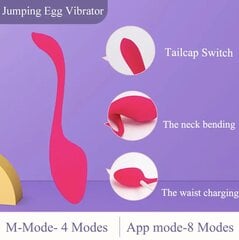 Kegel Jumping Egg цена и информация | Вибраторы | kaup24.ee