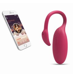 Smart vibrators Flamingo цена и информация | Вибраторы | kaup24.ee