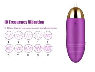 Puldiga munavibraator Continuous Climax, lilla hind ja info | Vibraatorid | kaup24.ee