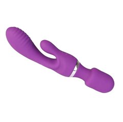 Clit Vibrator цена и информация | Вибраторы | kaup24.ee