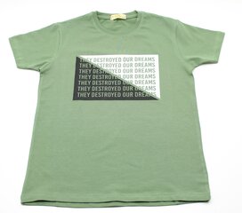 Lühikeste varrukatega T-särgid poistele цена и информация | Рубашки для мальчиков | kaup24.ee