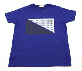 Lühikeste varrukatega T-särgid poistele цена и информация | Рубашки для мальчиков | kaup24.ee