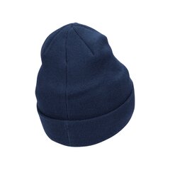 Nike Кепки K Nk Peak Beanie Sc Swsh Blue FB6492 410 цена и информация | Шапки, перчатки, шарфы для мальчиков | kaup24.ee