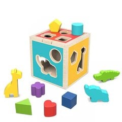 Tooky Toy Wooden Sorter Cube цена и информация | Развивающие игрушки | kaup24.ee