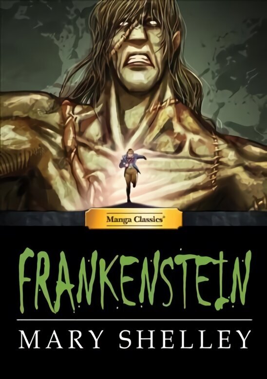 Manga Classics Frankenstein цена и информация | Fantaasia, müstika | kaup24.ee