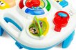 Muusikaline õppelaud Toyz цена и информация | Imikute mänguasjad | kaup24.ee