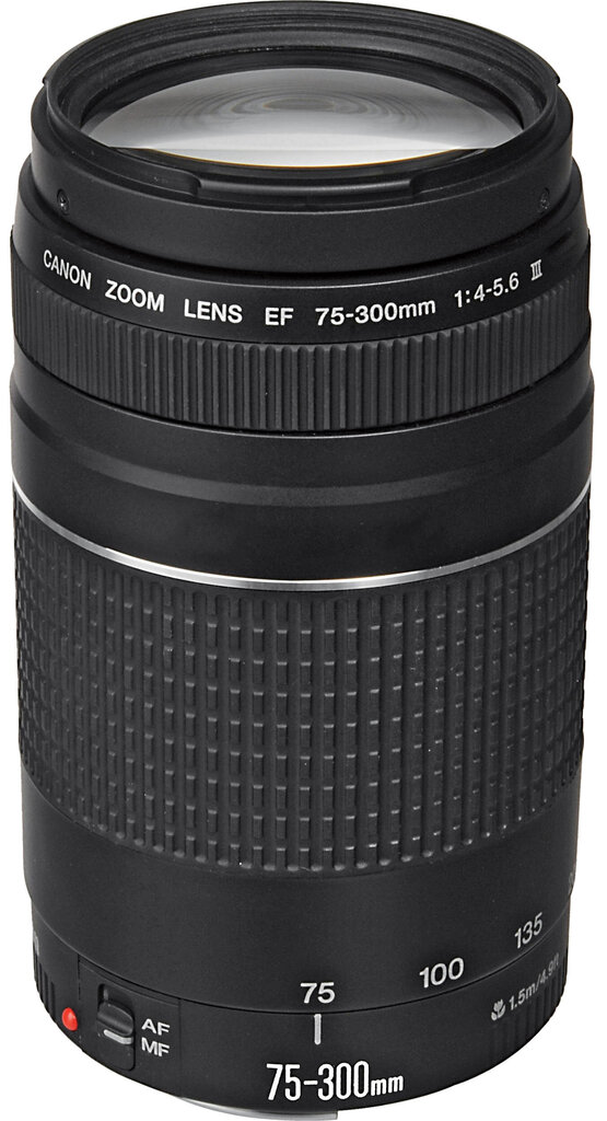 Canon EOS 250D + EF-S 18-55mm IS II + EF 75-300mm III hind ja info | Fotoaparaadid | kaup24.ee