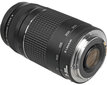 Canon EOS 250D + EF-S 18-55mm IS II + EF 75-300mm III цена и информация | Fotoaparaadid | kaup24.ee