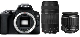 Canon EOS 250D + EF-S 18-55mm IS II + EF 75-300mm III цена и информация | Фотоаппараты | kaup24.ee