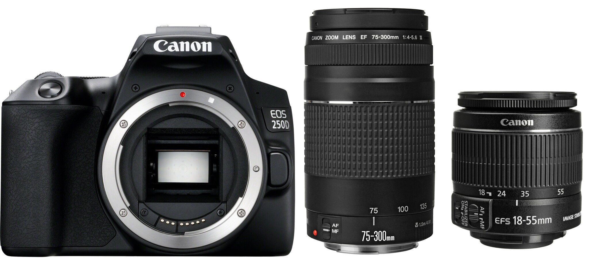 Canon EOS 250D + EF-S 18-55mm IS II + EF 75-300mm III hind ja info | Fotoaparaadid | kaup24.ee