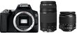 Canon EOS 250D + EF-S 18-55mm IS II + EF 75-300mm III цена и информация | Fotoaparaadid | kaup24.ee