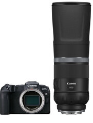 Canon EOS RP + RF 800mm f/11 IS STM цена и информация | Цифровые фотоаппараты | kaup24.ee