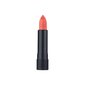 Huulepulk Annemarie Börlind Lip Color, Peach, 4 g. цена и информация | Huulepulgad, -läiked, -palsamid, vaseliin | kaup24.ee