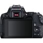 Canon EOS 250D + EF-S 18-55mm III + EF 50mm STM цена и информация | Fotoaparaadid | kaup24.ee