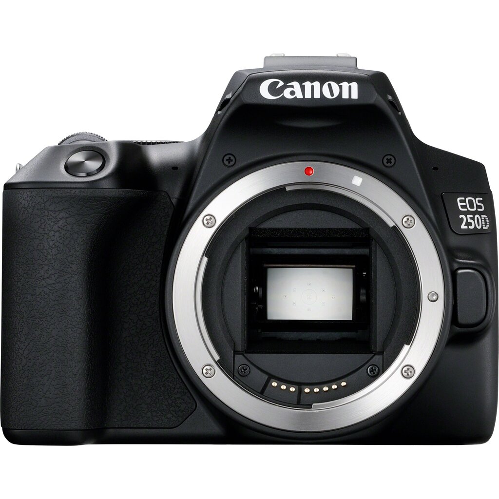 Canon EOS 250D + EF-S 18-55mm III + EF 50mm STM цена и информация | Fotoaparaadid | kaup24.ee