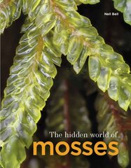 Hidden World of Mosses цена и информация | Книги по экономике | kaup24.ee