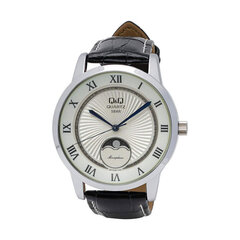 Мужские часы Q&Q, QZ10J307Y, (Ø 40 мм) цена и информация | Мужские часы | kaup24.ee