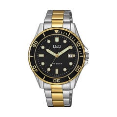 Мужские часы Q&Q, A172J412Y, (Ø 43 мм) цена и информация | Мужские часы | kaup24.ee