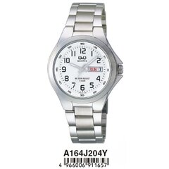 Мужские часы Q&Q A164J204Y, Ø 38 мм цена и информация | Мужские часы | kaup24.ee