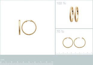 750° kullaga kaetud kõrvarõngad, ⌀ 23 mm, toodetud Prantsusmaal hind ja info | Kõrvarõngad | kaup24.ee