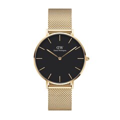 Daniel Wellington Petite 36 Evergold unisex käekell цена и информация | Женские часы | kaup24.ee