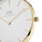 Daniel Wellington Petite 36 Evergold unisex käekell hind ja info | Naiste käekellad | kaup24.ee