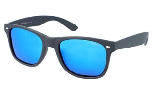 Солнцезащитные очки для мужчин PolarZone SK70 цена и информация | Солнцезащитные очки для мужчин | kaup24.ee