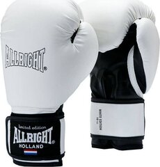 Poksikindad ALLRIGHT 10oz, valged hind ja info | Allright Võrkpall | kaup24.ee