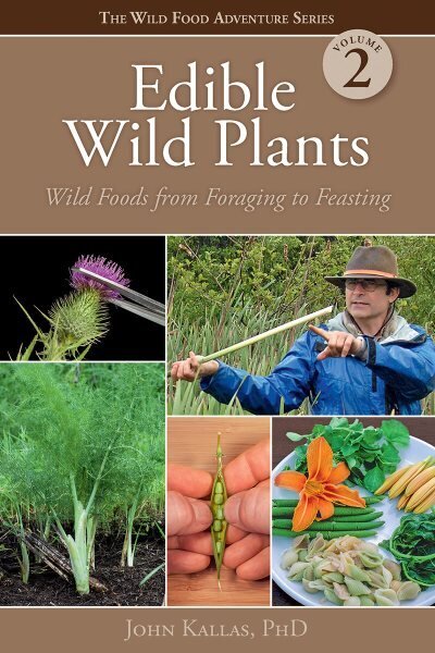 Edible Wild Plants, Vol. 2: Wild Foods from Foraging to Feasting цена и информация | Retseptiraamatud  | kaup24.ee