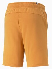 Meeste lühikesed püksid Puma Essentials+ Two-Tone 10" Desert Clay 234238319 цена и информация | Мужские шорты | kaup24.ee