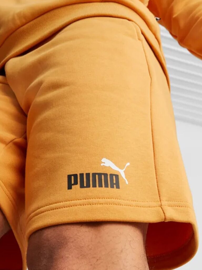 Meeste lühikesed püksid Puma Essentials+ Two-Tone 10" Desert Clay 234238319 hind ja info | Meeste lühikesed püksid | kaup24.ee