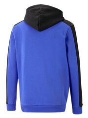 PUMA Essentials Block Tape Royal Sapphir 234238378 цена и информация | Мужские толстовки | kaup24.ee