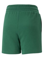 Naiste lühikesed püksid Puma Classics Pintuck Shorts Vine 234237857 hind ja info | Naiste lühikesed püksid | kaup24.ee