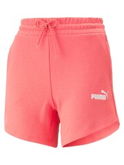 Naiste lühikesed püksid Puma Essentials High Waist Loveable 234238063 hind ja info | Naiste lühikesed püksid | kaup24.ee