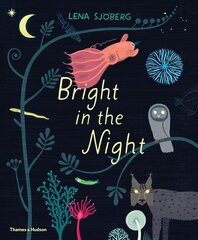 Bright in the Night цена и информация | Книги для малышей | kaup24.ee