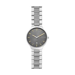 Мужские часы Skagen, Grenen, (Ø 38 мм) цена и информация | Мужские часы | kaup24.ee