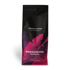Специальный кофе в зернах Никарагуа Марагогипе, 1 кг цена и информация | Кофе, какао | kaup24.ee