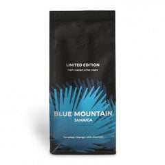 Spetsiaalsed kohvioad Jamaica Blue Mountain, 250 g цена и информация | Кофе, какао | kaup24.ee