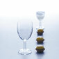 Veiniklaasid Arcoroc 25 cl, 12 tk hind ja info | Klaasid, tassid ja kannud | kaup24.ee