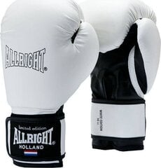 Боксерские перчатки ALLRIGHT 8oz, белые цена и информация | Боевые искусства | kaup24.ee