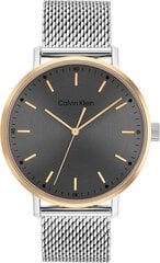 Calvin Klein Modern часы цена и информация | Мужские часы | kaup24.ee