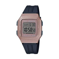 Мужские часы Casio цена и информация | Мужские часы | kaup24.ee